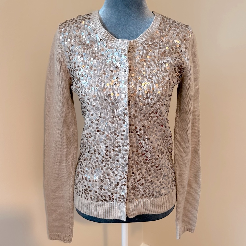 Ann Taylor sweater
